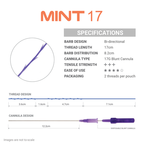 MINT 17 (Discontinued)